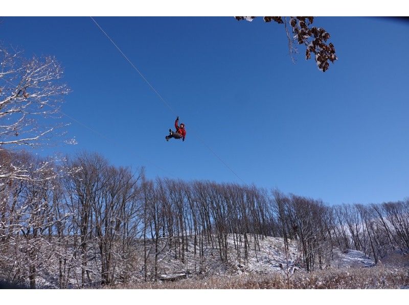 冬期限定!〈ジップトリップツアー〉身長110cmからロングジップスライドで雪原を滑空できます!