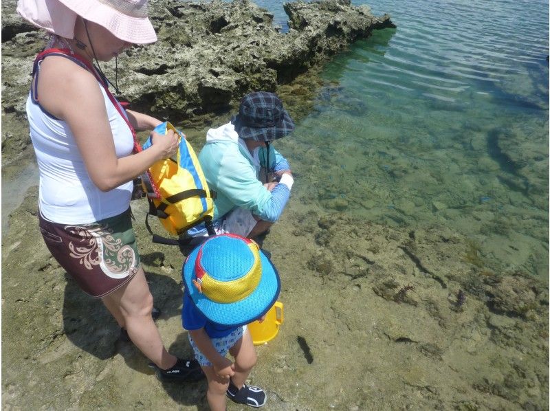 【２歳～OK!  沖縄本島南部糸満・南城・八重瀬】手付かずの天然海岸で生物＆磯場自然観察 