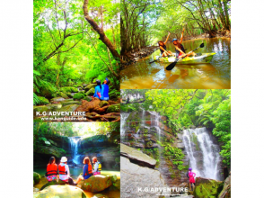 [World Heritage Site Iriomote Island] To the popular hidden Geta Falls! Mangrove canoeing & jungle trekking & hidden power spot [Free tour photo presentation]