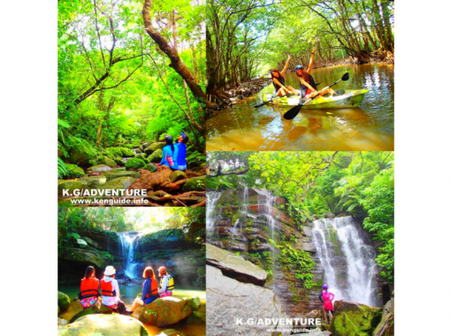 [World Heritage Site Iriomote Island] To the popular hidden Geta Falls! Mangrove canoeing & jungle trekking & hidden power spot [Free tour photo presentation]の画像