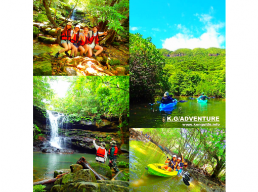 【世界遺産 西表島 半日】世界遺産ツアー！マングローブカヌー&times;秘境ジャングルクルーズ【ツアー写真データ無料】の画像