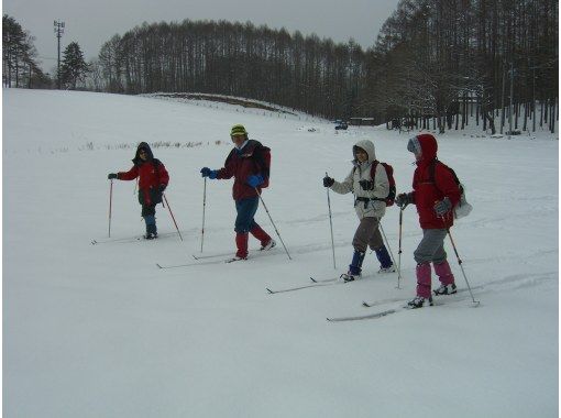 【長野・大町市　クロスカントリースキー】冬しか体験できない森の静けさを。歩くスキー1日コースの画像