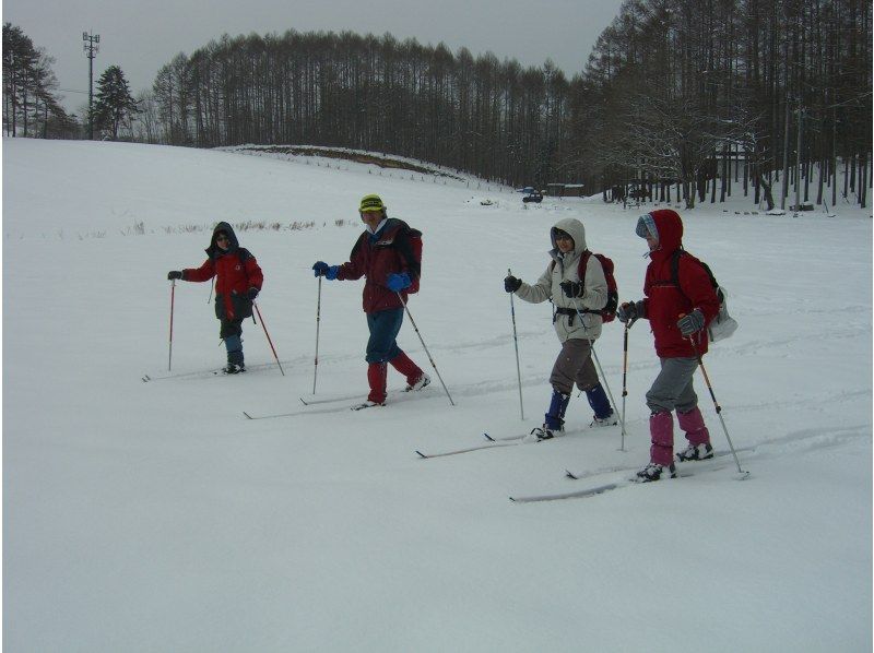 [Nagano/ Omachi City Cross-country skiing] Enjoy the tranquility of the forest that can only be experienced in winter. Walking ski one day courseの紹介画像