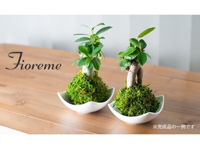 【東京・中央区】枝もの植物と苔玉アレンジ製作体験60分【23227】