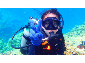 如果您是第一次體驗潛水，請點擊這裡！ 【藍洞&珊瑚礁體驗搭船潛水】免費接駁巴士前往恩納村！