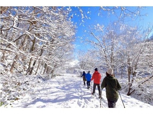 【北海道・札幌】札幌市内から無料送迎！「スノーシューハイキング」完全プライベートツアー