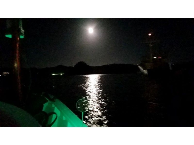 [ 静岡 -下田]暑假有限夜間遊船 （夜光遊）の紹介画像