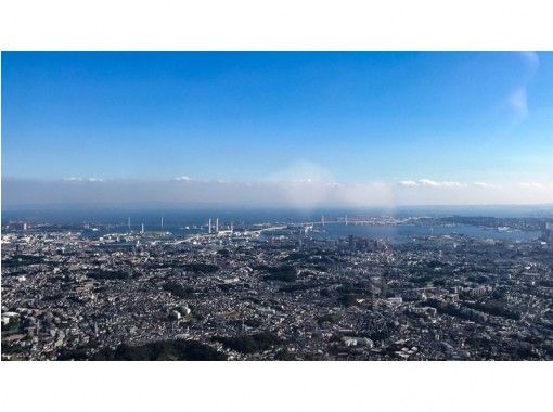 【東京発】上空600mの絶景ツアー！観光名所をヘリコプター遊覧飛行体験【30分】の画像