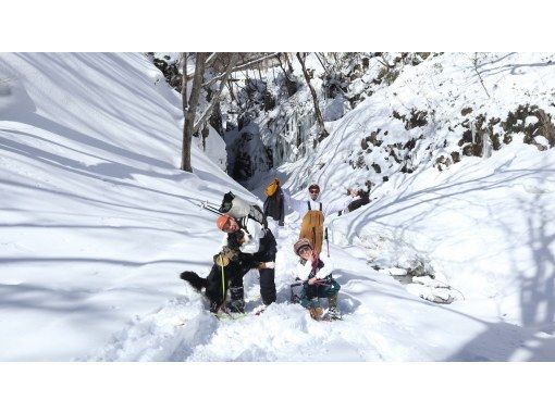 [Gunma, Minakami] Dogs welcome! Half-day snow trekking tour to enjoy Japan's beautiful snow sceneryの画像