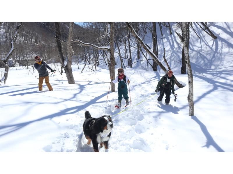 [从IC出发，只需5分钟]在群马水上的森林里玩雪！雪地徒步半日游の紹介画像