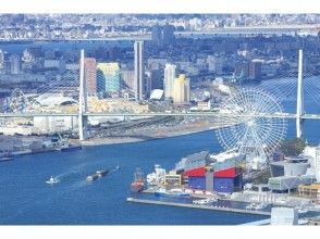 【大阪発】上空300mの絶景ツアー！観光名所をヘリコプター遊覧飛行体験【4分】