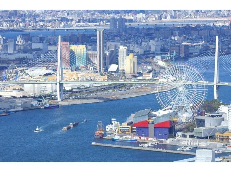【大阪発】上空300mの絶景ツアー!観光名所をヘリコプター遊覧飛行体験【4分】