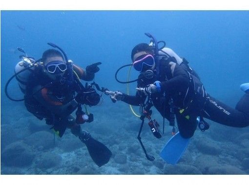 【高知・甲浦】深海のシロボシテンジクザメ観察ダイビングツアーの画像