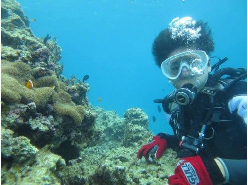 [Onna village, the day I arrived Diving 】 Arrival date Fun Diving(2 dives) ※ Equipment Rental Noneの画像