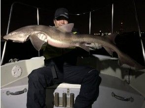 【東京/羽田】240分鐘Shark飛行包機の画像