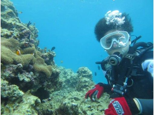 [Onna village, the day I arrived Diving 】 Arrival date Fun Diving(2 dives) ★ Equipment Rental Includedの画像