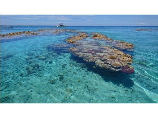 【沖縄・名護】シュノーケリング体験！西海岸の綺麗なサンゴ礁を探検しょうの画像