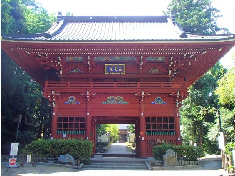 菜の花の咲く「いすみ鉄道」で行くぶらり鉄道旅と名工「波の伊八」の欄間観賞バスツアー【13642】