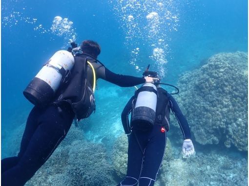 【沖縄・宮古島】水着があれば参加ＯＫ！体験ダイビング　半日ボートの画像