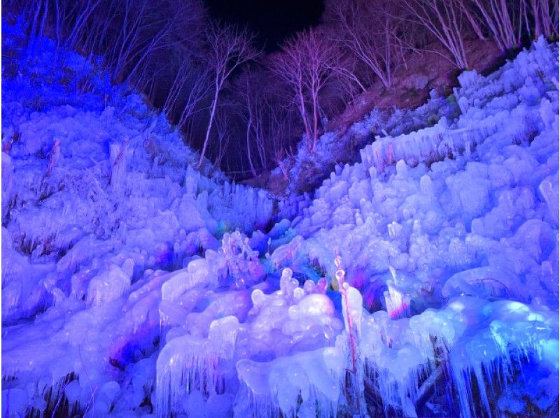 秩父三大氷柱・あしがくぼの氷柱ライトアップ&宝登山神社の蝋梅観賞バスツアー【13630】