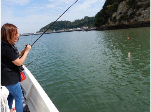 宮城 塩釜 松島 気楽に湾内で船釣り 女性 小学生 初心者歓迎 ェ アクティビティジャパン