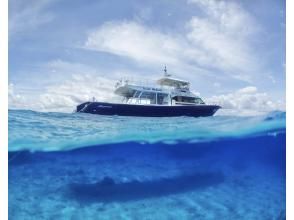 【沖縄・北谷発・半日】満足度重視！！高いのには理由あり 快適ホエールウォッチングツアー ☆返金保証（3/15まで）・参加者特典付き☆