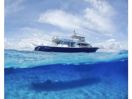 【沖縄・北谷発・半日】満足度重視！！高いのには理由あり 快適ホエールウォッチングツアー ☆返金保証（3/15まで）・参加者特典付き☆の画像