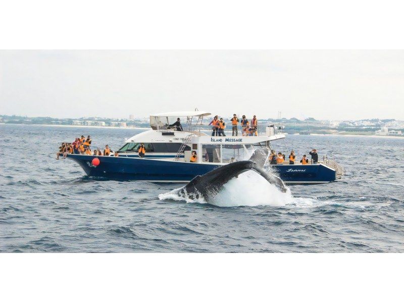 【北海道・SUP体験】透明度の高い支笏湖の湖面をクルージング！SUP体験（半日コース）の画像