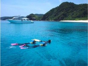【Okinawa · Kerama】Snorkeling experience for beginners! Free rental of OLYMPUS underwater cameras (with SD card)の画像