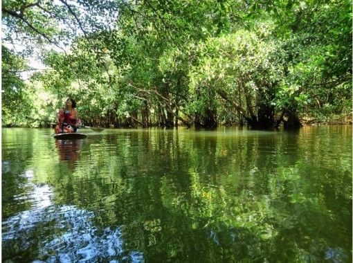 【 Okinawa Prefecture · Iriomote Island】 Enjoy the island with SUP! Cruising mangrove river and one coral reef!の画像