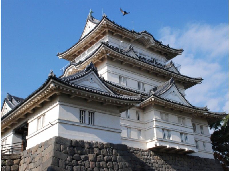 楽々ロマンスカーで行く！小田原城址公園＆小田原城見学＆歴史ある邸宅「清閑亭」見学ツアー【13834】