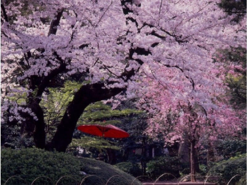 八芳園の日本庭園としだれ桜が咲き誇る増上寺&春の庭園特別公開見学バスツアー【13862】
