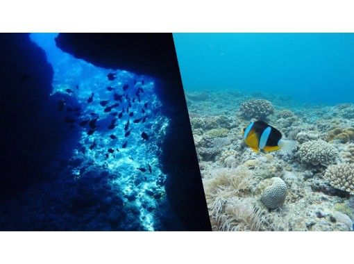 【２本のダイビングが楽しめる♪】青の洞窟+サンゴ礁コースの２つのコースで贅沢体験ダイビング☆の画像