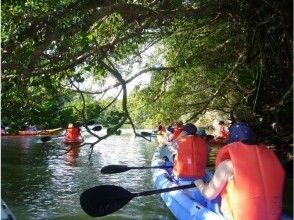 Canoeing Experience Lagun