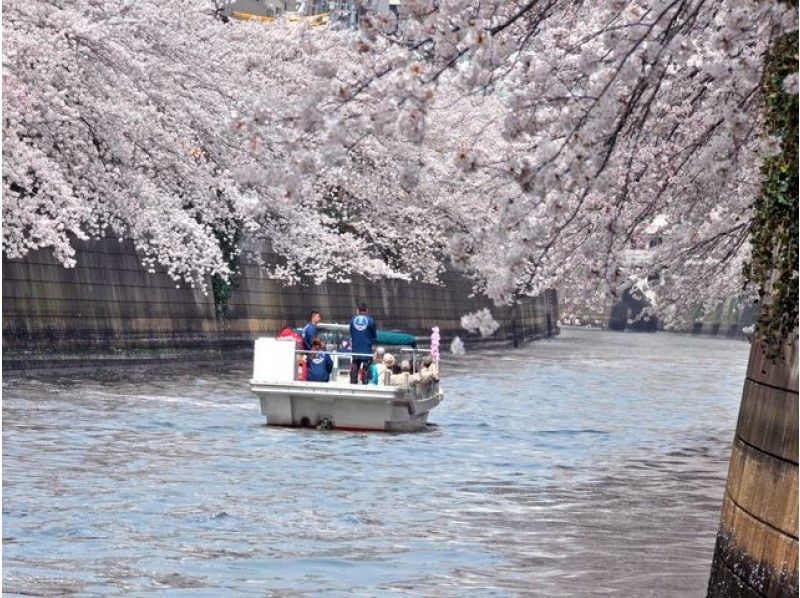 【浜松町集合】目黒川桜回廊貸切クルーズ&高輪桜まつり【13826】