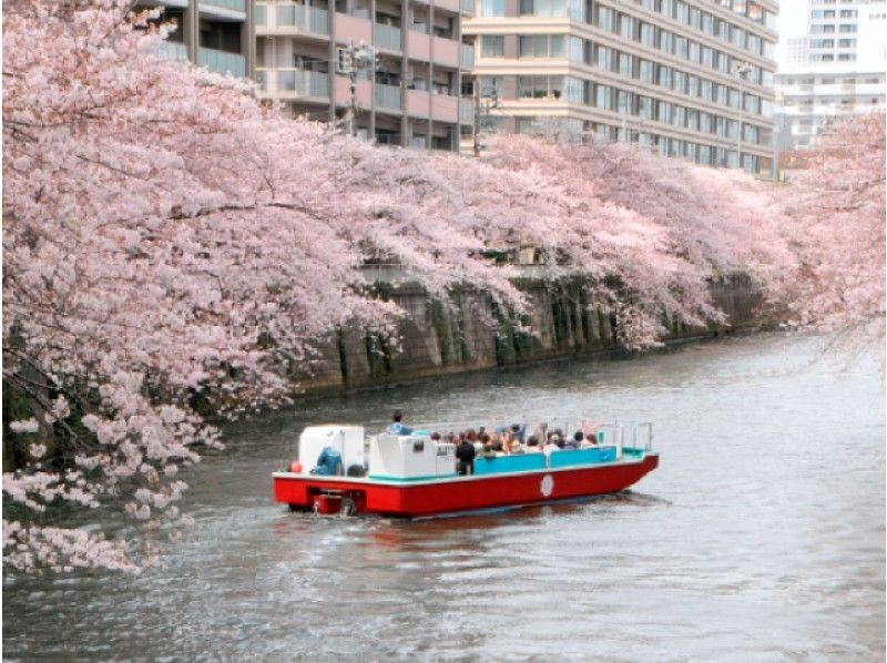 【東京駅集合バスツアー】目黒川桜回廊貸切クルーズ&ホテル雅叙園東京・ランチビュッフェ【13827】