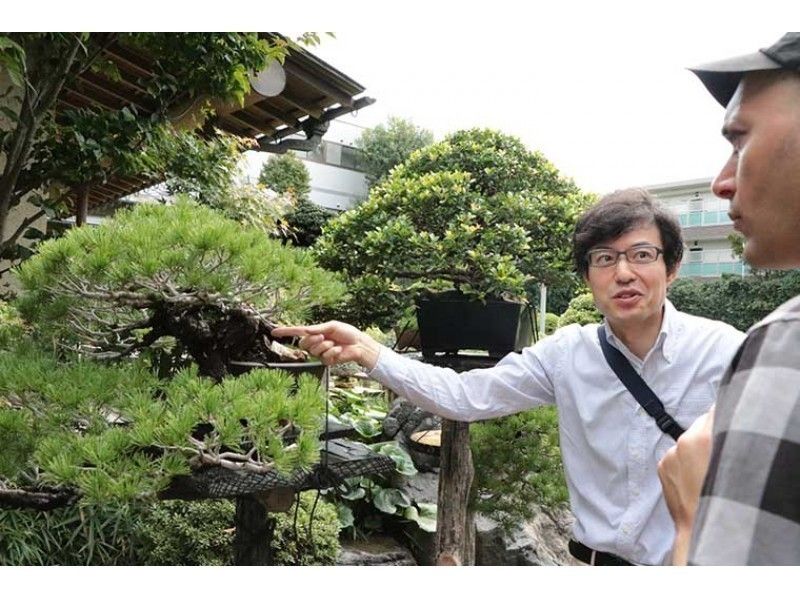 100年続く盆栽の聖地で、盆栽農家が教える楽しみ方と育て方