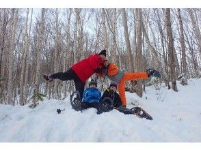 [札幌市中心/含接送]北部森林、雪鞋徒步旭山纪念公园之旅。