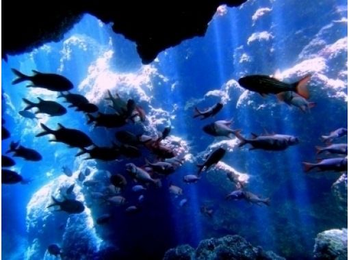 【沖縄・青の洞窟】送迎付き！ボート体験ダイビング（地域クーポン利用可能プラン）の画像