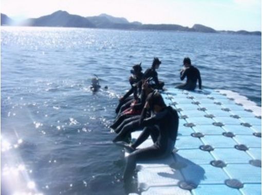 Skin Dive Naki / Echizen area 1 day course ※ If you have certifiedの画像