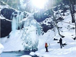 【栃木・那須塩原】幻の氷瀑森を散策 アニマルトラッキング！スノーシュー半日ツアーの画像