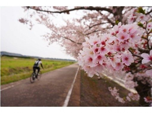 茨城・つくば】地元ガイドと一緒に！つくば田園サイクリングツアー 