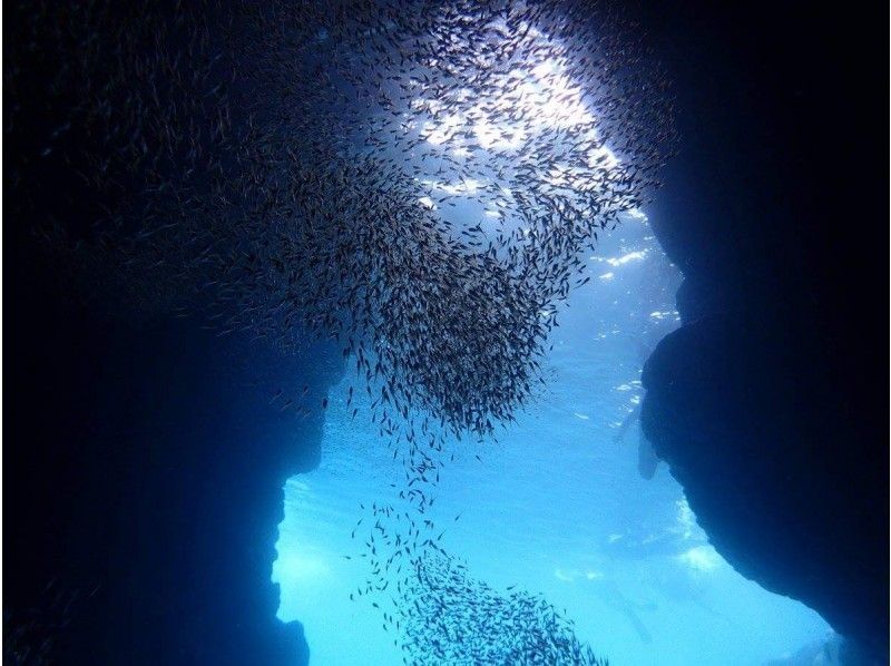 【格安‼︎】青の洞窟体験ダイビング★撮影した写真で編集ビデオプレゼント！写真撮影無料★