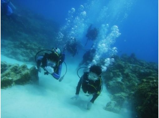 [Okinawa Kerama Islands] Kerama Chibishi boat experience diving & snorkeling (local coupon available plan)の画像