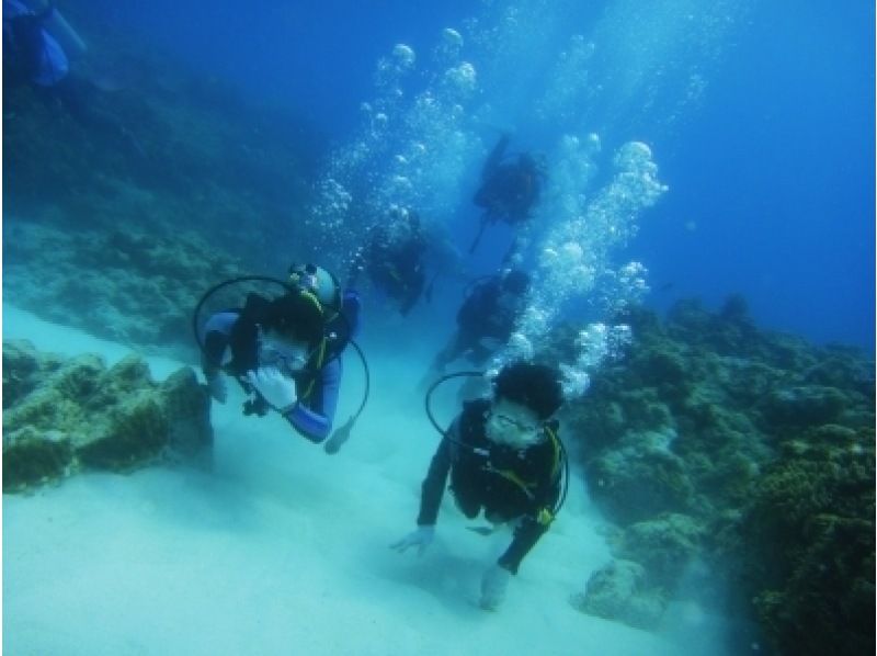 【 冲绳 ·庆良间庆良间群岛 】奇维西船体验深潜和浮潜の紹介画像
