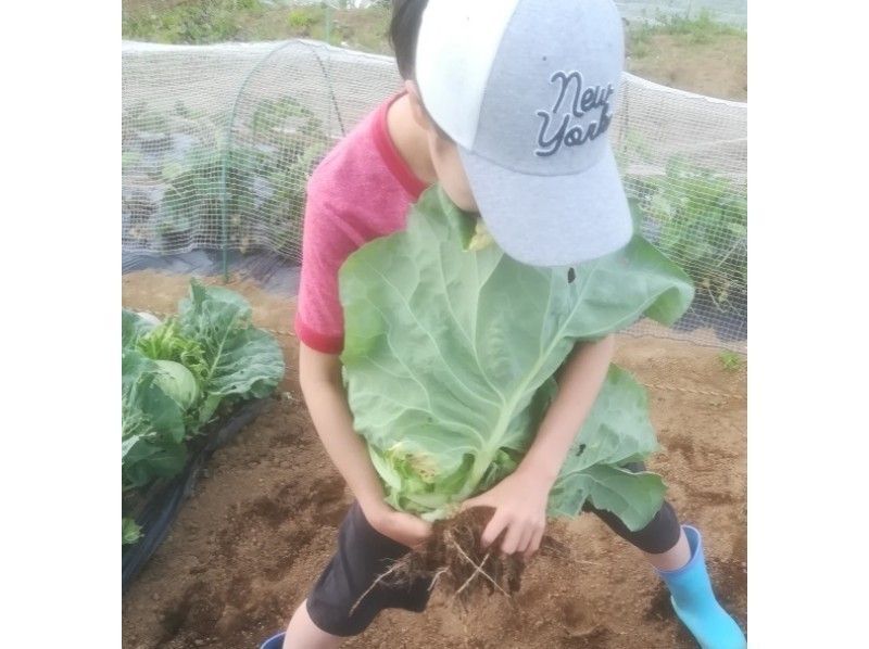 【神奈川・圏央（厚木・海老名・座間）】電車で来れる神奈川県央で親子自然体験！