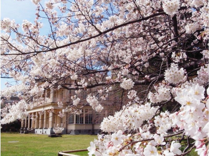 華やかな洋風建築めぐり！歴史を刻む春の3大洋館邸宅＆桜名所「上野公園」散策バスツアー【13891】