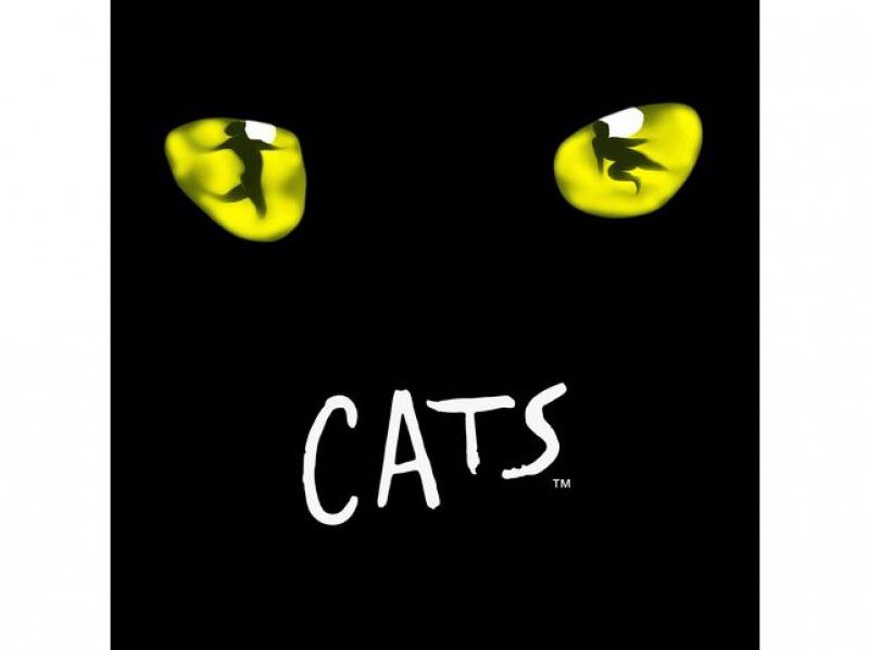 劇団四季ミュージカル『キャッツ』S席鑑賞 レストラン クルールにてランチビュッフェ付【13875】