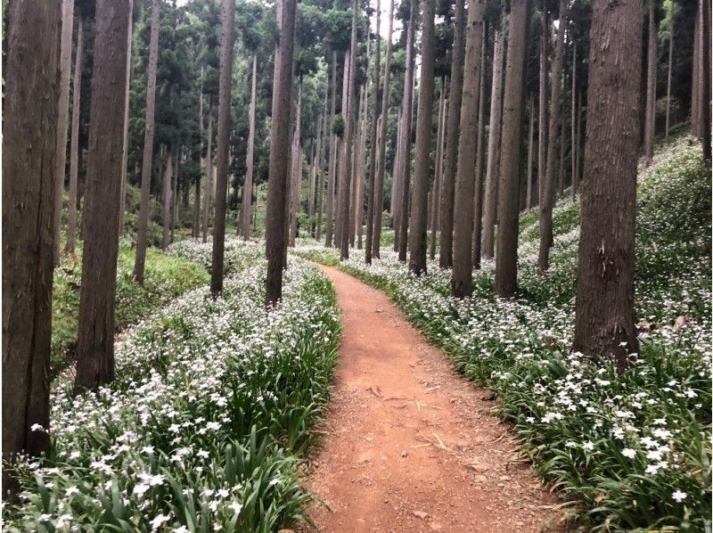 【京都・京丹波／綾部】四季折々の自然を愛でる★ガイド付きの車で楽々！あなたの知らない京都を満喫しよう