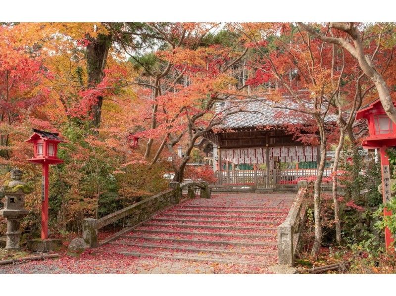 【京都・亀岡／篠山】丹波の紅葉、秋の味覚、黒枝豆、酒蔵探訪と立杭焼★ガイド付きの車で楽々、安心！
